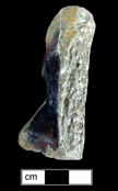 Jar or crock with painted blue design in an indeterminate motif.  Broken lug handle evident. Fragment in cross section on right.